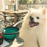 #4PAWS OFFICIAL INSTAGRAM PHOTO04