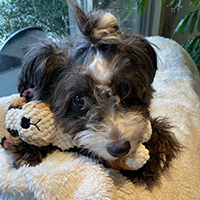 #4PAWS OFFICIAL INSTAGRAM PHOTO06